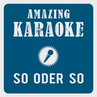 Amazing Karaoke - So oder so (Xtreme Sound Party Mix) [Karaoke Version] [Originally Performed By Bernhard Brink]