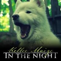 In the Night - Single - Kellee Maize