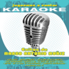 Contigo Aprendí (Karaoke Version) [Originally Performed By Marco Antonio Muñíz] - Hernán Carchak