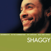 Boombastic - Shaggy