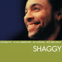 In the summertime — Shaggy
