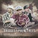 Bridges Palm Trees feat Baby Bash Lil Coner Single