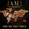 You're the Voice - Single