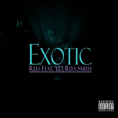 Exotic (feat. Y.D & Rita Smith) - Single
