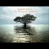 Tom Yoder - Brandenburg Concerto No. 3 in G Major BWV 1048: I.