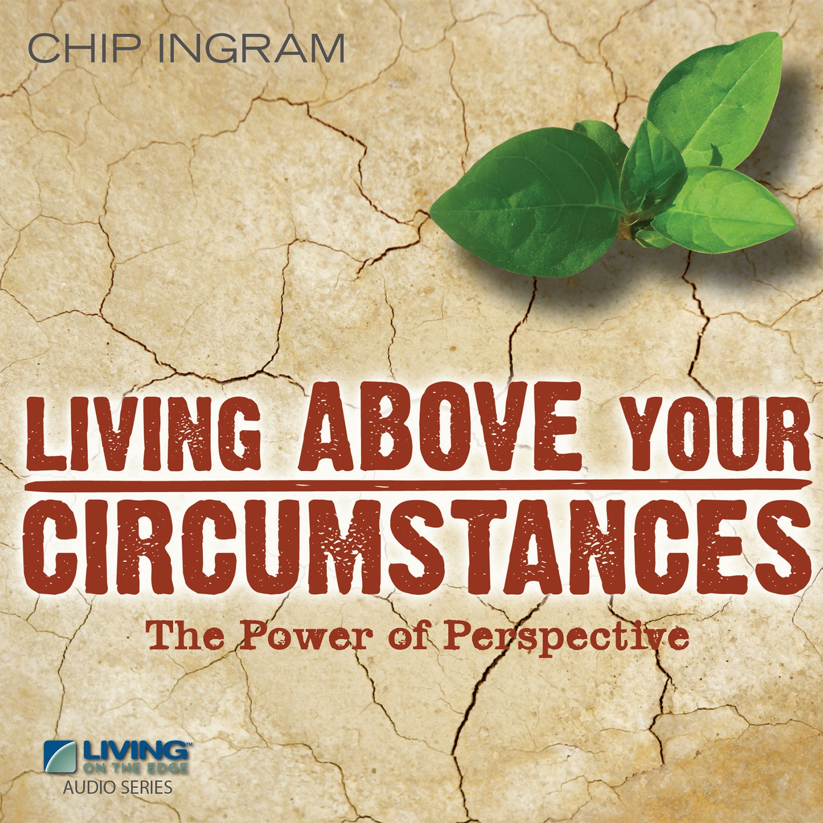 Living Above Your Circumstances - The Power of Perspective