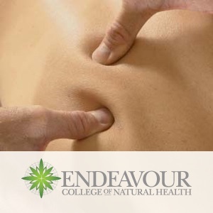 Massage cover