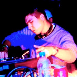 DJ Frisky In The House cover