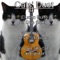 Cats Duet (Duetto Buffo Di Due Gatti) With Guitar - David Warin Solomons lyrics
