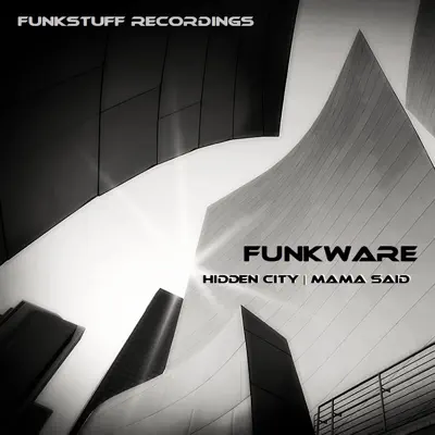 Listen to Hidden City - Single by Funkware