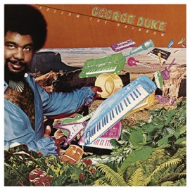 Say That You Will George Duke