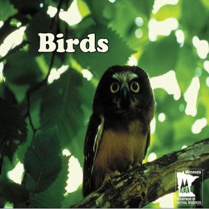Birding Forestville/Mystery Cave State Park