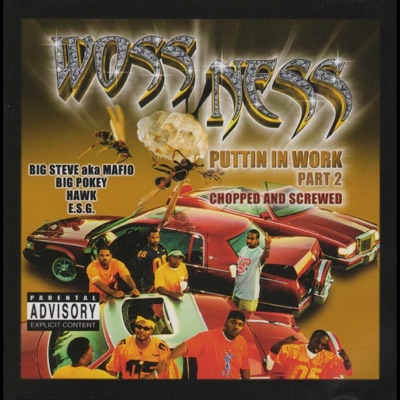Puttin In Work Pt. 2 (Chopped & Screwed)