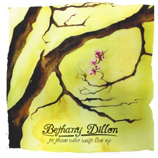 Bethany Dillon You Did Not Have A Home