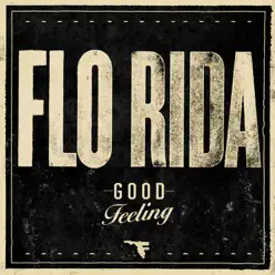 Good Feeling (DJ Suketu's IndiGroove Mix) - Single - Flo Rida