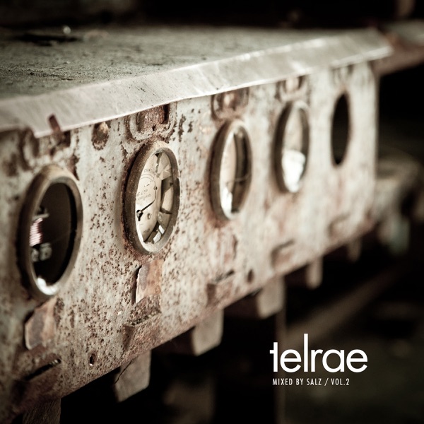 Telrae Mix By Salz, Vol. 2 (Mixed By Salz)