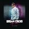 Aviator (feat. Mandy) - Brian Cross lyrics