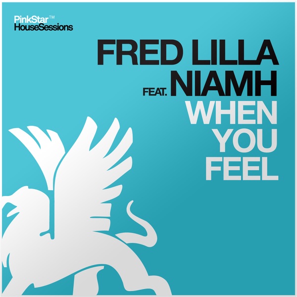 When You Feel (feat. Niamh) - Single