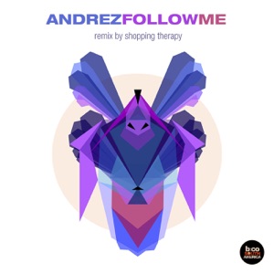 Follow Me - Single