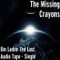 Bin Laden the Last Audio Tape - The Missing Crayons lyrics