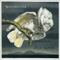La Dame Et la Licorne - Shearwater lyrics
