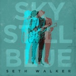 Seth Walker - Trouble (Don't Want No)