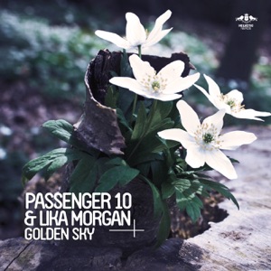 Golden Sky (Remixes) - EP
