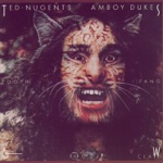 Ted Nugent & The Amboy Dukes - Hibernation