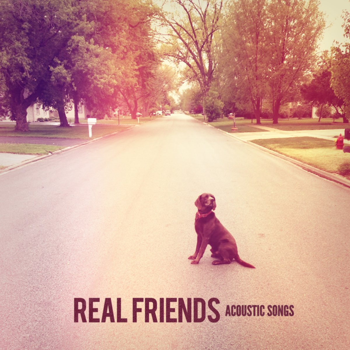 Песня май друзья. Реал френдс. Real friends. Go friend песня. Friends песня.