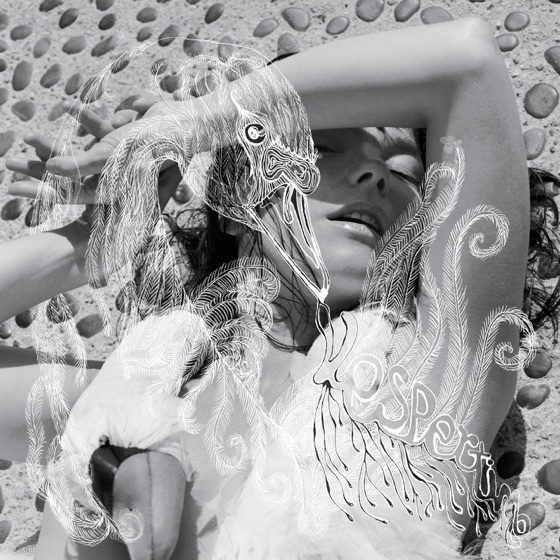 Cover artwork for Cocoon