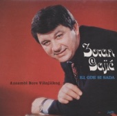 Zoran Gajić - Ej, Gde Si Sada