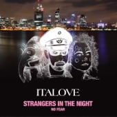 Strangers in the Night (Extended Version) artwork