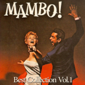 Mambo: Best Collection, Vol. 1 - Artisti Vari