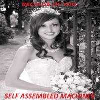 Because of You - Single - SAM