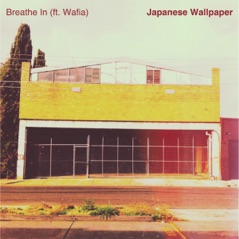 Breathe In (feat. Wafia) - Single