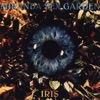 Iris - EP