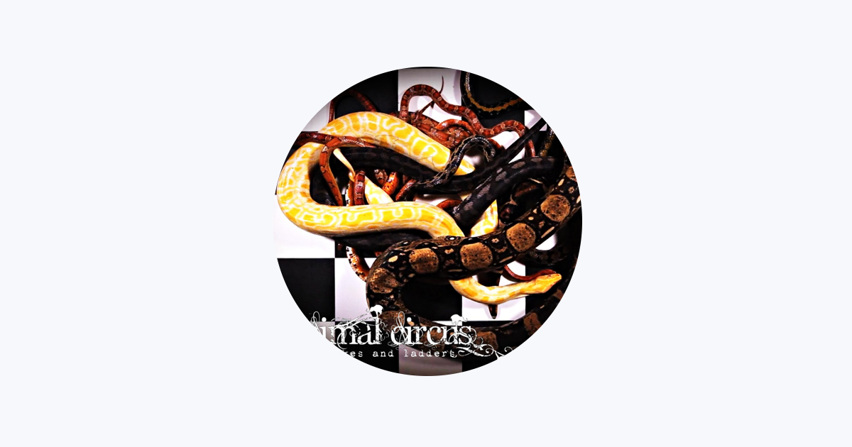 Animal Circus - Apple Music