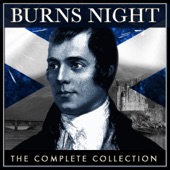 Burns Night the Complete Collection artwork