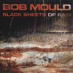 Black Sheets of Rain