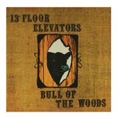 13th Floor Elevators - Livin' On