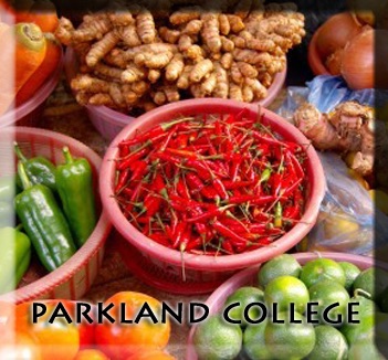 BIO 120: Fundamentals of Nutrition