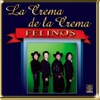Felinos - El Buey de la Barranca