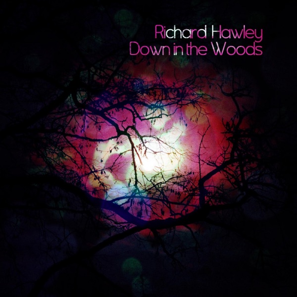 Down In the Woods - Single - Richard Hawley