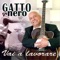 Spagna - Gatto Nero lyrics