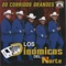 Disfruto la Vida - Los Dinamicos Del Norte lyrics