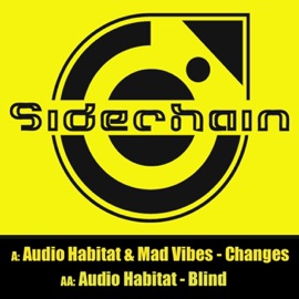 Changes Audio Habitat & Mad Vibes