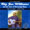 My Little Girl - Big Joe Williams lyrics