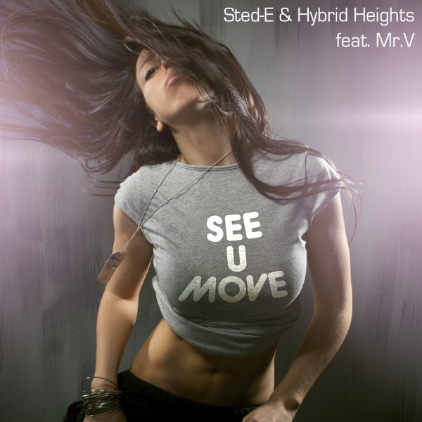 See U Move (feat. Mr. V) - Remixes, Pt. 2