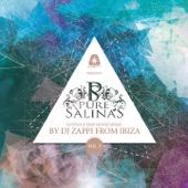 Pure Salinas, Vol. 5 (Compiled by DJ Zappi) artwork