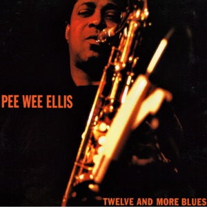 Twelve and More Blues (Live)